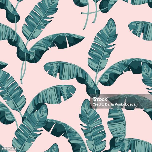 Composition Of Exotic Palm Banana Leaf On A Light Pink Background Print Summer Seamless Vector Pattern Wallpaper Stock Illustration - Download Image Now