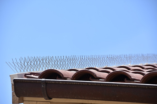 Spikes against pigeons on the roof