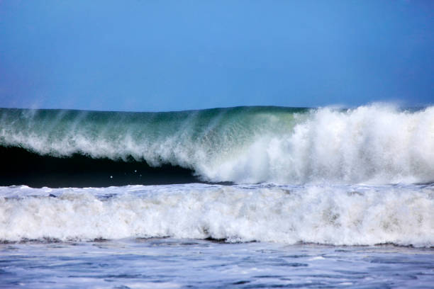 Big wave crashes on to the shore. Indian ocean
