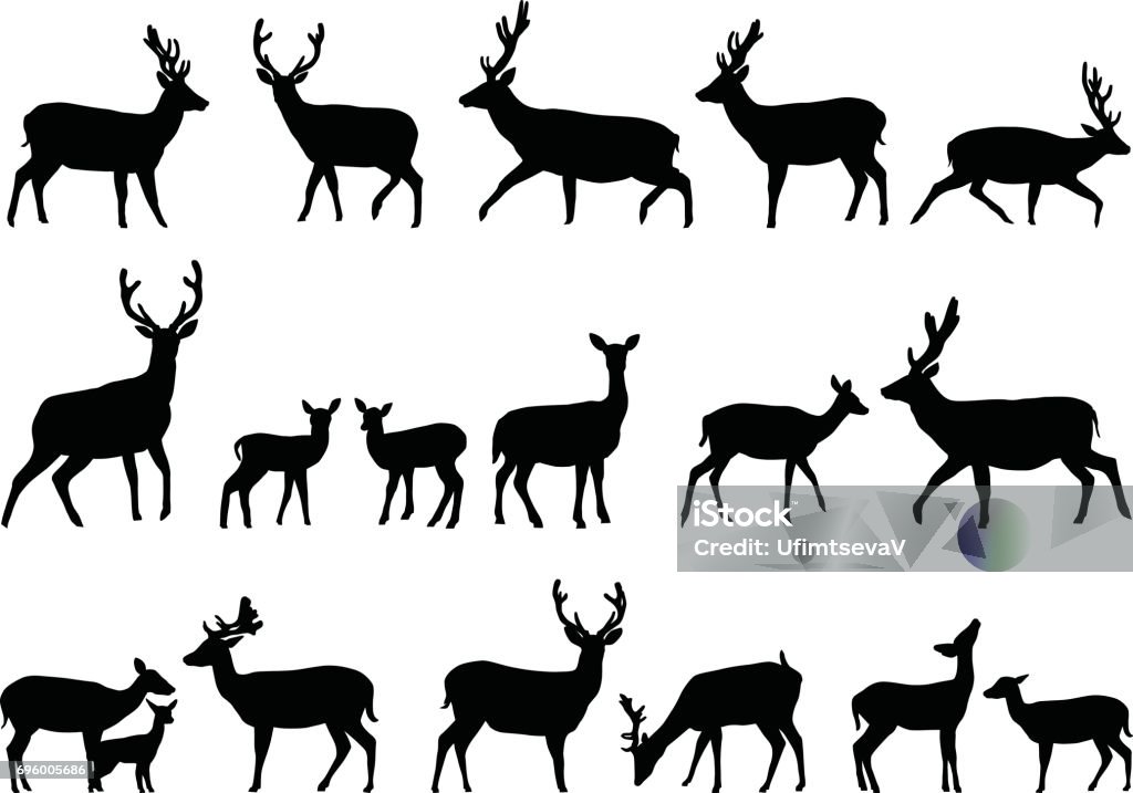 Deers Collection of silhouettes of wild animals - the deer family Deer stock vector