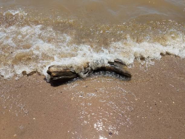 istock sand with waves and rocks and driftwood 696009962
