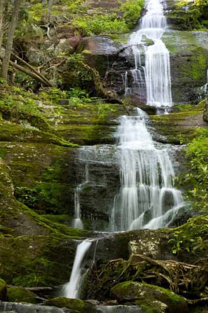 istock Water Fall in Forest tumbling down a steep drop deep in the forest 696012128