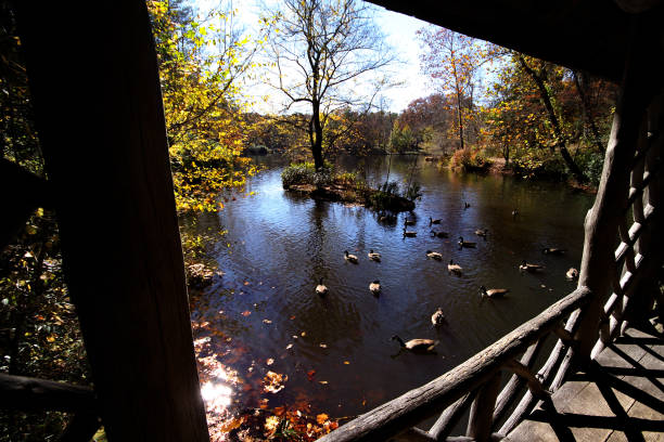 istock View of the lake 696012346