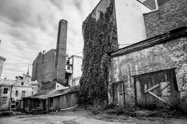 istock ivy wall and square pipe in the small yard in Vyborg 696014908