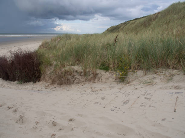 istock the island spiekeroog 696023248