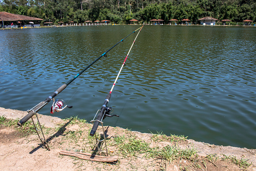Sao Paulo, Brazil, February 12, 2017. Fishing rod in a lake on Borore Island, south of Sao Paulo.