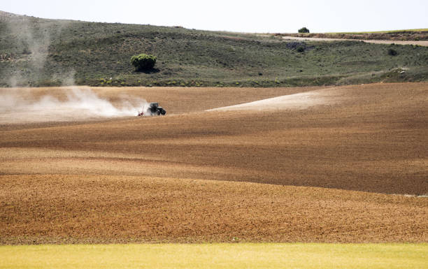 istock Tractor on the Field in Spain 696045312