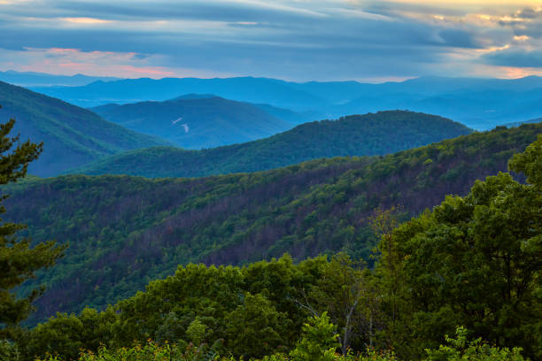 Shenandoah National Park, Virginia View from Brown Mountain Overlook, Shenandoah National Park, Virginia skyline drive virginia photos stock pictures, royalty-free photos & images