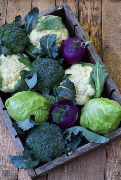 istock Composition from different varieties of cabbage on wooden background. Cauliflower, kohlrabi, broccoli, white head cabbage. Organic fresh vegetables. 696049294