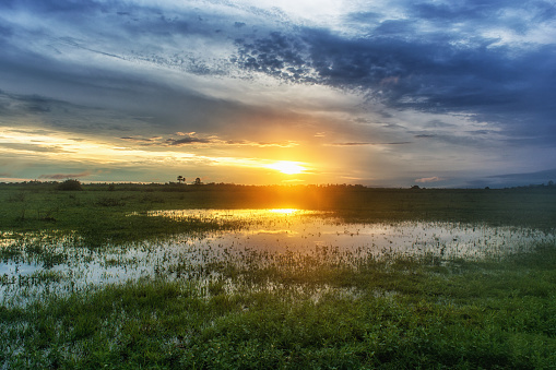 A sunset in the Pantanal
