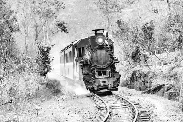 istock Steam narrow-gauge train. 696052526