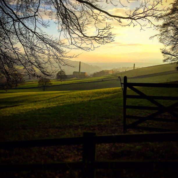 istock Sunset in the countryside 696057992