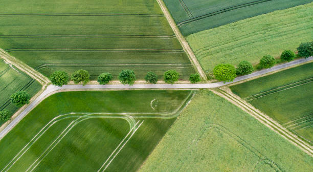 istock Agricultural area - aerial view 696058858