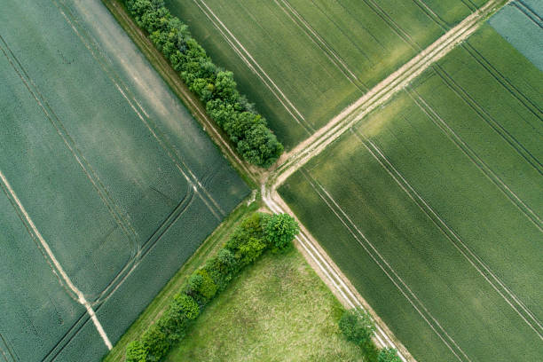 istock Agricultural area - aerial view 696059238