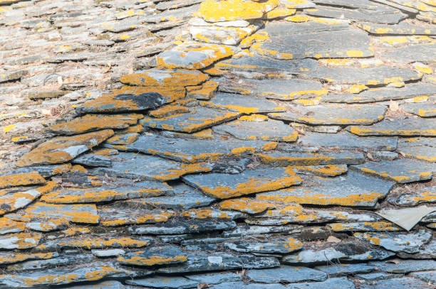 屋根 - roof tile nature stack pattern ストックフォトと画像