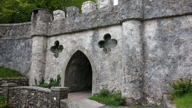 istock Celtic Bridge in Northern Ireland 696069996