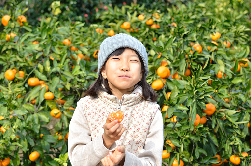 Girl enjoying mandarin orange hunting