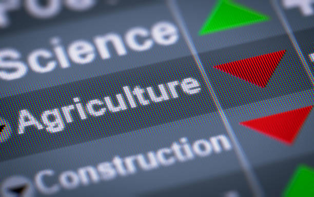 istock The Index of Agriculture on The Screen. 696077536