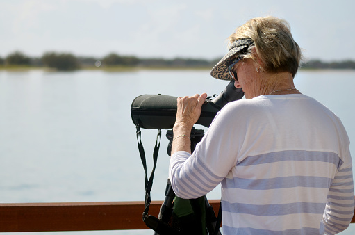 Mature woman birdwatching through binoculars in broadwater in Gold Coast Queensland, Australia.