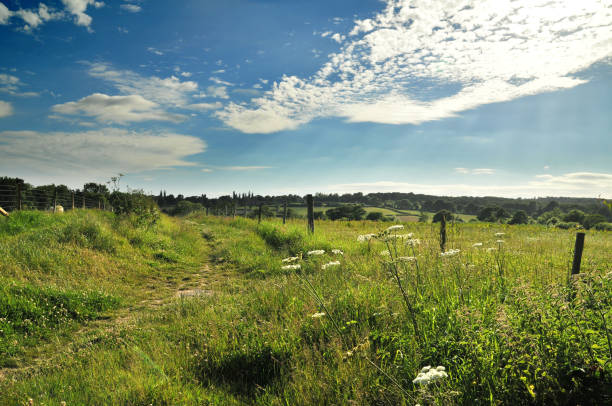 istock West Kent Landscapes 696087602