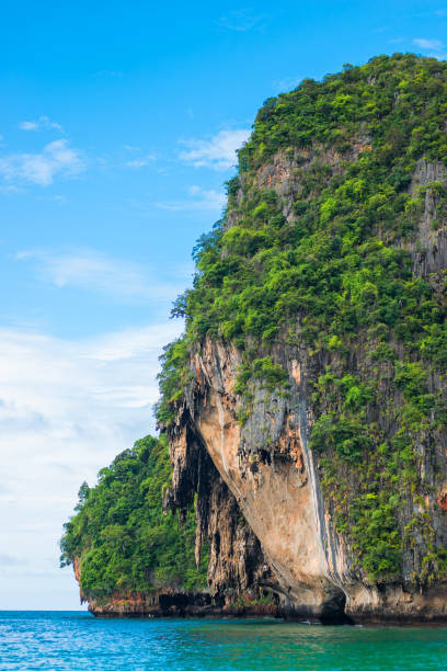istock Tree-cliffed rock in the sea close-up 696091576