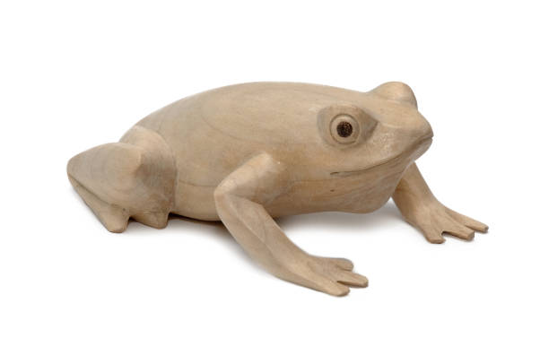 istock Figurine of a frog carved from a tree 696094510