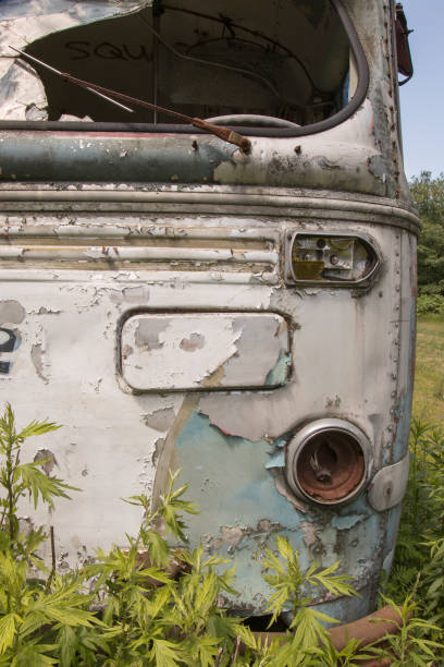 istock Wrecked bus in weeds 696103360
