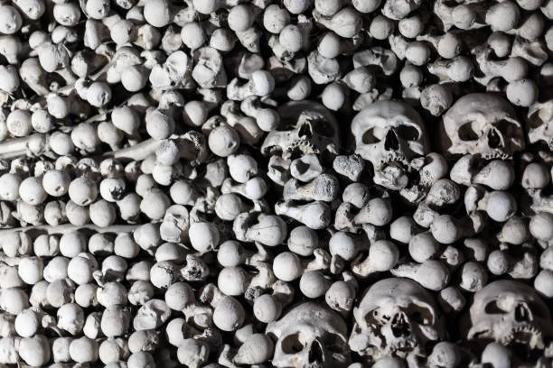 человеческие кости и черепа в качестве фона - kutna hora skull human bone people стоковые фото и изображения