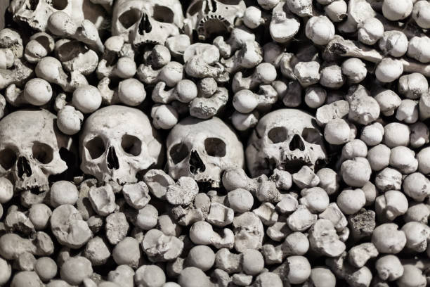 человеческие кости и черепа в качестве фона - kutna hora skull human bone people стоковые фото и изображения