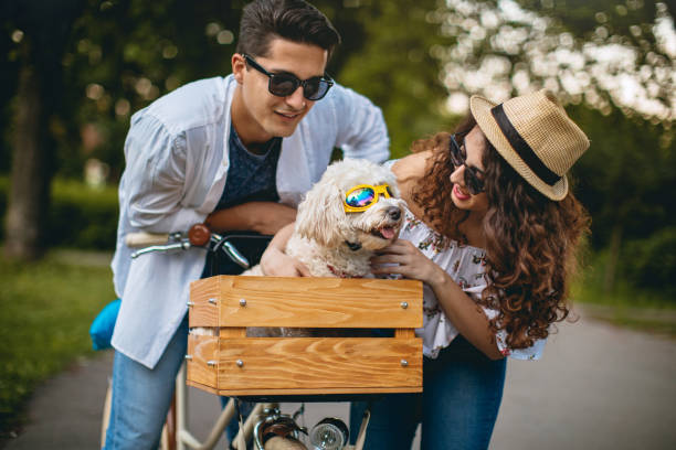 istock Cute couple with their funny dog 696104760