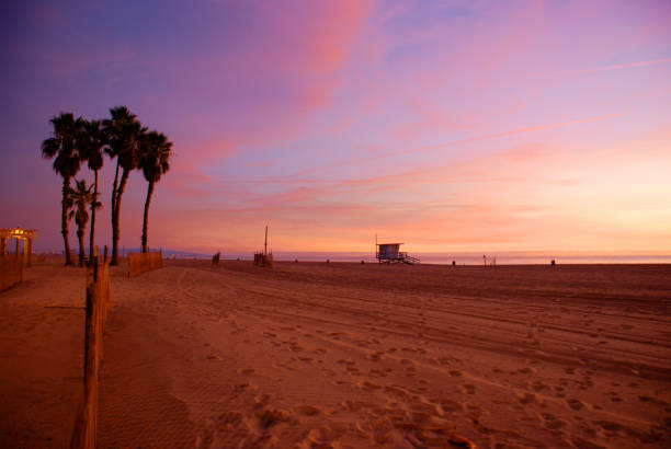 Sunset at Venice Beach California with silhouette of palm trees and lifeguard tower