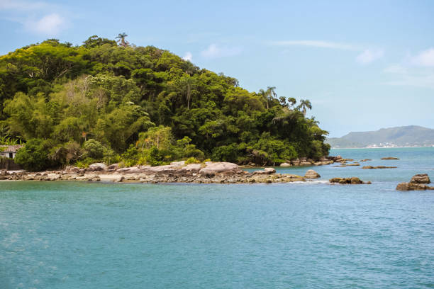 istock Brazil Florianopolis Canasvieiras Island Beach 696108430