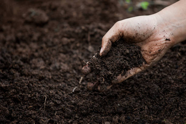 istock Soil in hand for planting 696110864