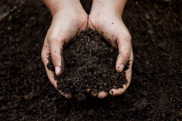 istock Soil in hand for planting 696110872