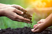 Mother's hand giving soil to a child for planting together