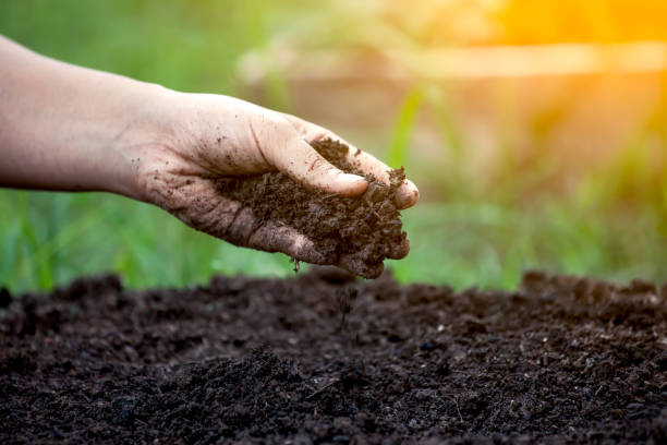 terreno in mano per la semina - bagnato foto e immagini stock