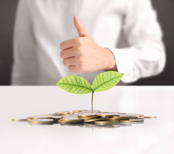 istock money plant growing from coins in hand 696114190