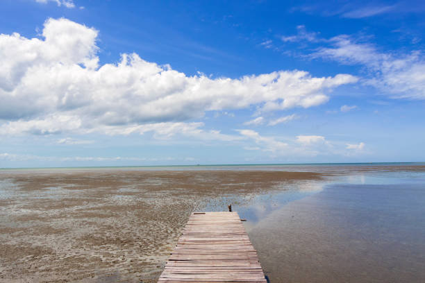 istock The wooden bridge 696116834
