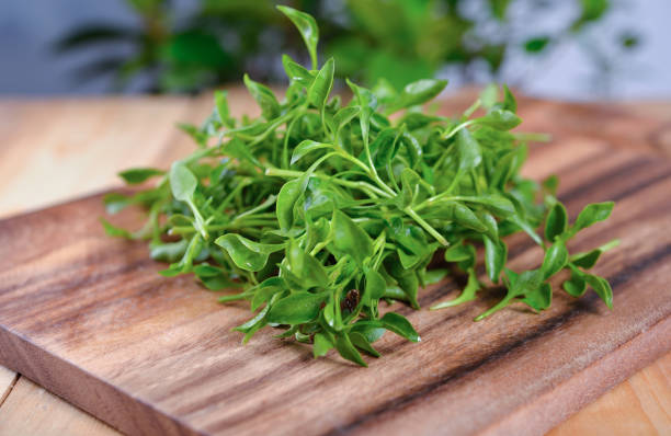 berros frescos en el tablero de corte de madera - cress fotografías e imágenes de stock