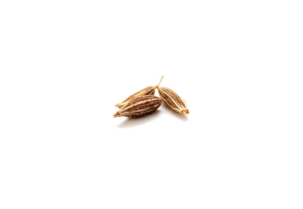 Cumin seeds stock photo