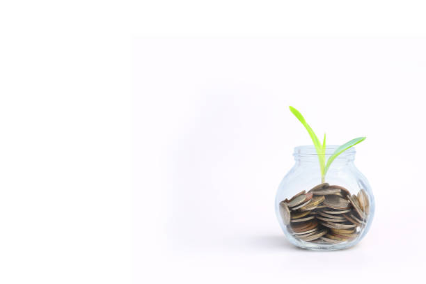 istock Save money concept - coins in a glass jar with a plant with copy space. 696129902
