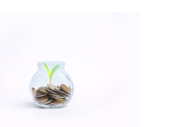 istock Save money concept - coins in a glass jar with a plant with copy space. 696129920