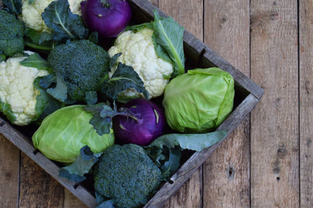 istock Composition from different varieties of cabbage on wooden background. Cauliflower, kohlrabi, broccoli, white head cabbage. Organic fresh vegetables. 696130174