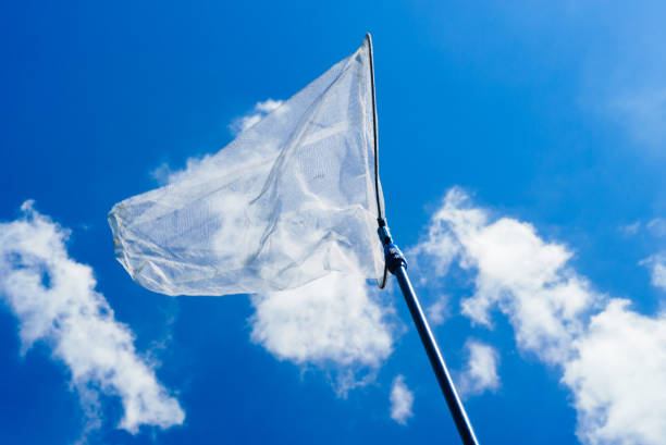 istock butterfly net in the blue sky (aerial insect net) 696131046