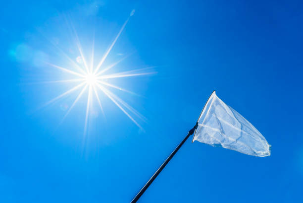 istock butterfly net in the blue sky (aerial insect net) 696131052