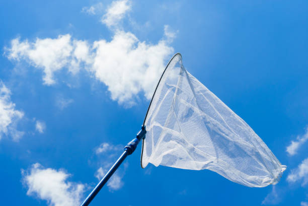 istock butterfly net in the blue sky (aerial insect net) 696131060