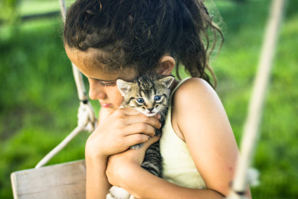 istock Girl with her Kitten 696131150