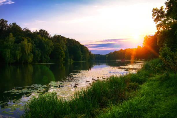 istock Old pond in park at sunset 696148444