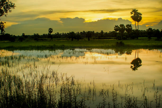 istock Sunset on country rood 696155856