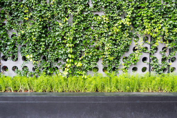 istock Green wall with vertical gardening in modern style. 696159328